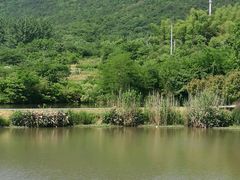 -石塘人家