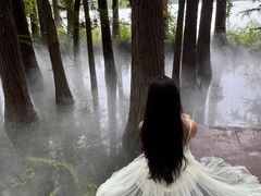 -东湖落雁景区