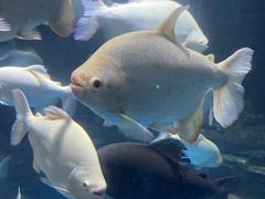 -多彩贵州城极地海洋世界