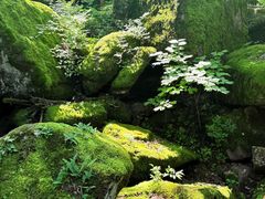 -茅兰沟国家森林公园