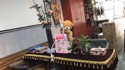 -钉格