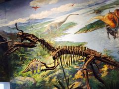 -自贡恐龙博物馆