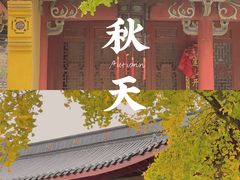 -高淳老街