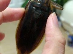 -莫华(锦绣趣园北街店)