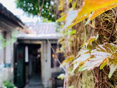 -邊城書店