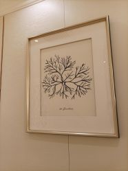 -茜尔维亚修身连锁(杨浦五角场店)