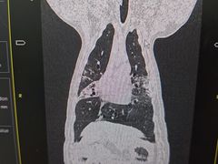 -嘉馨宠物医院·CT影像转诊·心脏科·犬猫全科诊疗中心(下沙大学城院区)
