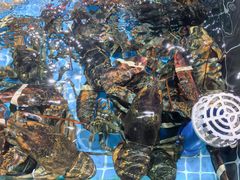 -巧克力渔家.小船海鲜胶东菜(万平口店)