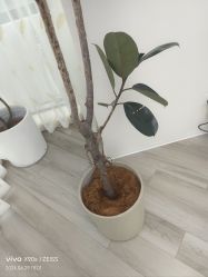 -HEYAN荷妍专业脱毛连锁机构