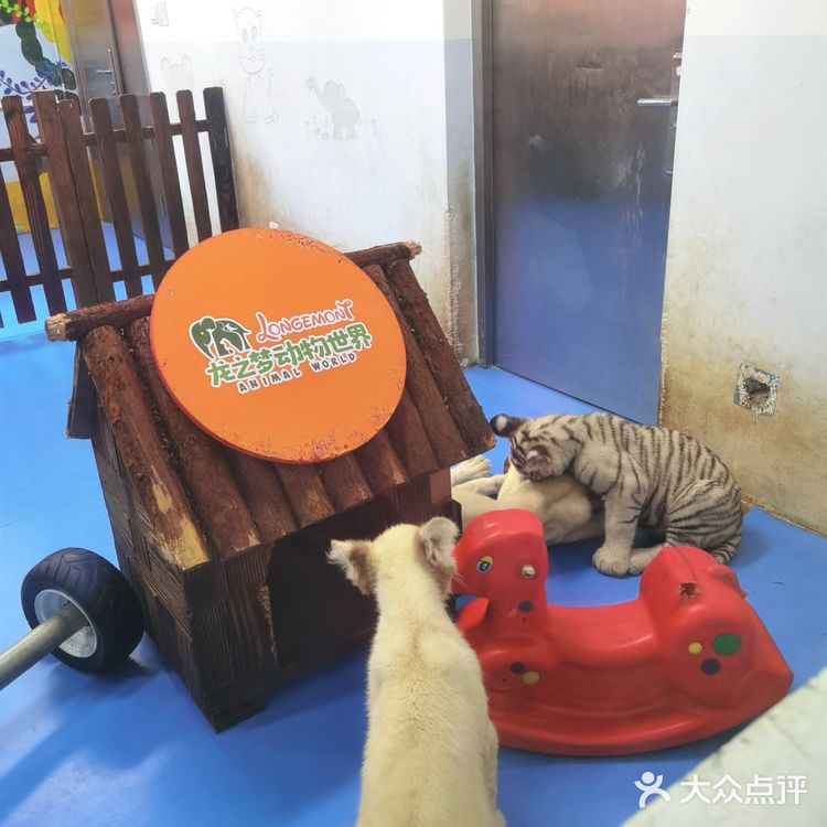 长假来龙之梦动物世界吧[加油]