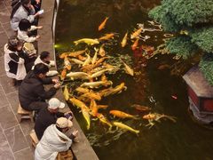 -唐山宴大唐州府精品中餐