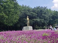 -南宁南湖公园