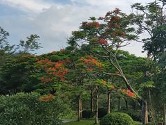 -森波拉奇妙世界