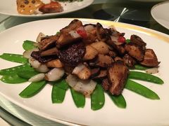 -金轩中餐厅 Jin Xuan(浦东丽思卡尔顿酒店)