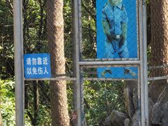 -千岛湖东南湖区