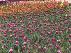 -长春公园(普阳街道)