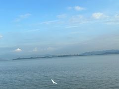 -深圳湾公园(南山区)