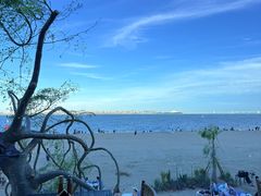 -海豚湾·大堂吧(厦门佰翔波特曼七星湾酒店)