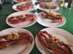 -Green Lobster Waskaduwa Seafood Restaurant