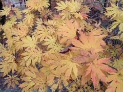 -本溪老边沟风景区