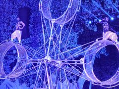 -灵玲国际马戏城