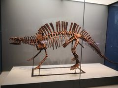 -湖南省地质博物馆