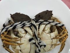 -小陆莲花蟹园农家乐(莲花岛店)