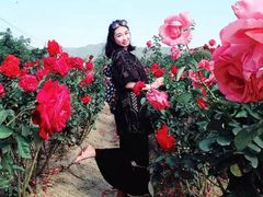 -亚龙湾国际玫瑰谷