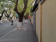 -颐和路民国时期公馆风貌区