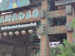 -南宫五洲植物乐园