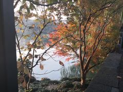 -苏堤停车场