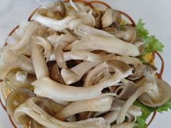 -菌海森林·非遗野生菌火锅(西山区滇池路摩根道店)
