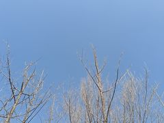 -迎泽公园