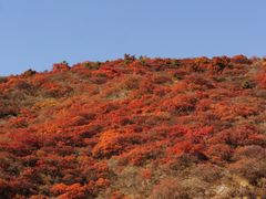 -水峪民俗村
