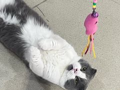 -藏猫猫咖啡主题馆(中央大道店)