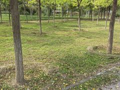 -玉泉公园