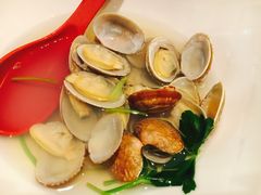 -大起水产回转寿司(道顿堀店)