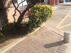 -榴花公园