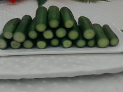 -金蝉食府(维吉奥广场店)