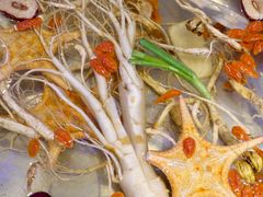 -千岛蚝高压锅生蚝·人参火锅(白云万达店)