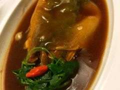 东坡河豚-肆月河豚·新淮扬(金融街店)