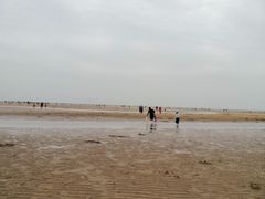 -刘家湾赶海园