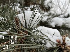 -棋盘山风景区