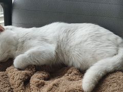-圣宠动物医院·犬猫专科·影像中心·外科中心