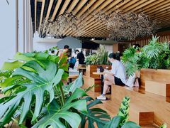 -Seesaw Coffee(朝阳大悦城店)