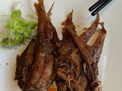 -新雅粤菜馆(南京东路店)