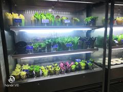 -海鼎荟海鲜姿造(晋江宝龙店)