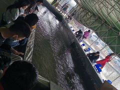 -会江钓鱼钓虾烧烤场