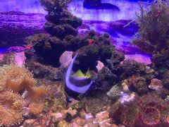 -常州海昌海洋探索馆