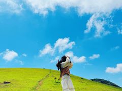 -大姆山草场